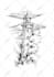 hand draw a custom black and white tattoo design
