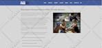 customize avada, impreza, bridge, the7, flatsome theme