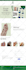 make wordpress business website and woocommerce online store