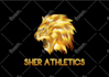 design an eagle, lion, tiger, animal logo and bird illustration high quality