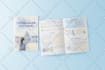 create company profile, brochures or catalogue design