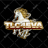 create a modern business, cartoonish, mascot logo design