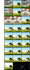 design a colorful attractive storyboard