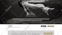 optimize and fix onpage SEO for your website