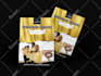 design a minimalist flyer and postcard for your business