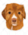 do vector illustration dog cat animal pet cartoon portrait