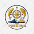 do your custom logo design