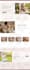 clone, build, design, redesign shopify website or dropshipping shopify store