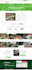 create wordpress landing page design or elementor landing page