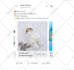run high converting shopify facebook ads campaign