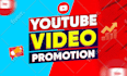 do youtube video and channel promotion for monetization organically