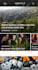 build a responsive wordpress website, landing page, newspaper, blog site