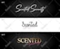 design a signature logo and social media kit and branding