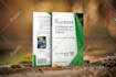 design a branded lead magnet PDF, workbook, ebook, brochure