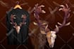 create custom animal illustration for tshirt design
