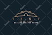 do modern and minimalist logo design