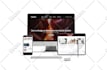 revamp, redesign responsive wordpress website, landing page, blog development