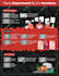 create custom professional infographic design