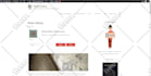 create a responsive business or ecommerce wordpress website