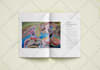 design a magazine, product catalog or brochure in adobe indesign