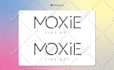 build your brand identity, logo and user manual guidelines