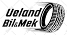 design detailed vector stencil from photo