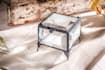 photoshop editing, realistic photo manipulation, and creative design composition