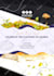 do the landscape illustrations or any other work on illustrator in 24 hours