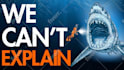 design attractive youtube thumbnail