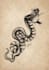 design a black and grey tattoo for you