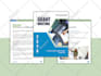 design ebooks pdfs, workbooks, lead magnets in canva