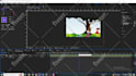 do creative 2d animation video, nursery rhymes and stories