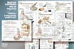 be the ideal graphic designer for all your projects