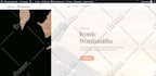 create a professional wordpress website