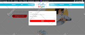 fix all bugs in your website, bug fix and technical support