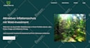 create a beautiful, professional website