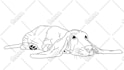 turn your photo into unique simple line cartoon