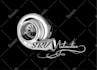 perfectly retrace, vectorize, and edit your logo or graphics