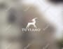 create a professional minimalist logo design