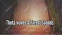 add nature sounds and  brainwaves to your guided meditations
