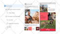 set up your facebook and instagram ads, in italian