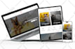 build your professional dropshipping shopify store or shopify website