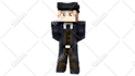 make 20 minecraft skin render within 10 hours