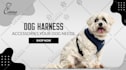 design stunning website banner, header professionally
