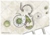 do illustrative section elevation for architectural and landscape visualization