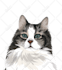 do vector illustration dog cat animal pet cartoon portrait