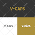 create  mlb, nba, NFL, custom logo with your brand name