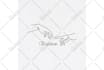 draw line art illustration black and white line drawing from any photo