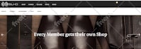 fix or resolve any wordpress error, issues, problem, or bug