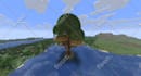 professionally build survival or creative minecraft builds
